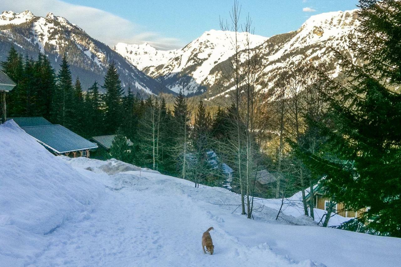 Hyak Duplex Cabin Snoqualmie Pass Kültér fotó